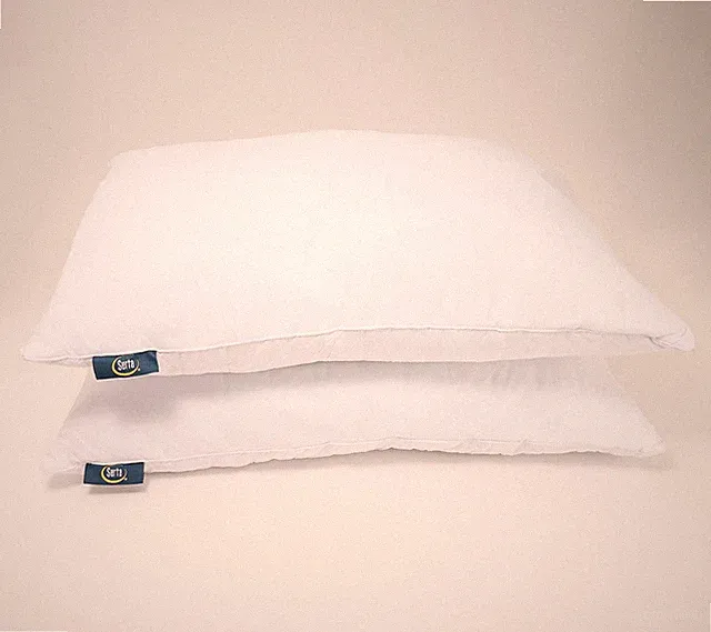 Serta Set of 2 Quilted Natural Fill Microfiber Pillows- Standard/Queen H441201